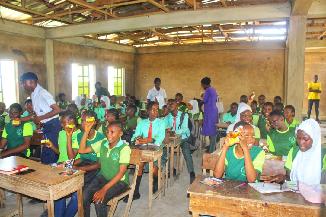 African Future Leaders Development Initiative Schools Outreach quick preview 7